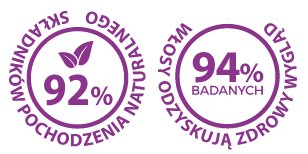Ikona